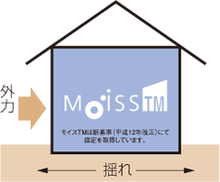 CXTM̉